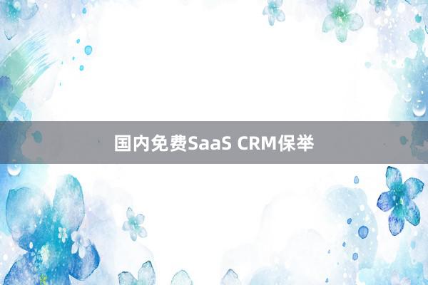 国内免费SaaS CRM保举
