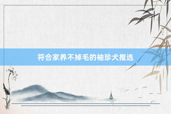 符合家养不掉毛的袖珍犬推选