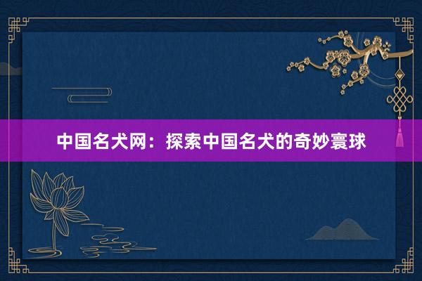 中国名犬网：探索中国名犬的奇妙寰球