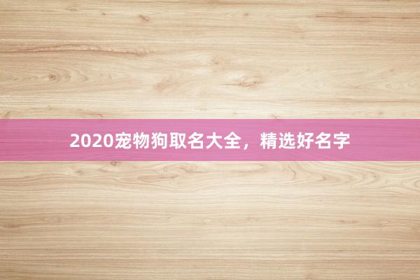2020宠物狗取名大全，精选好名字