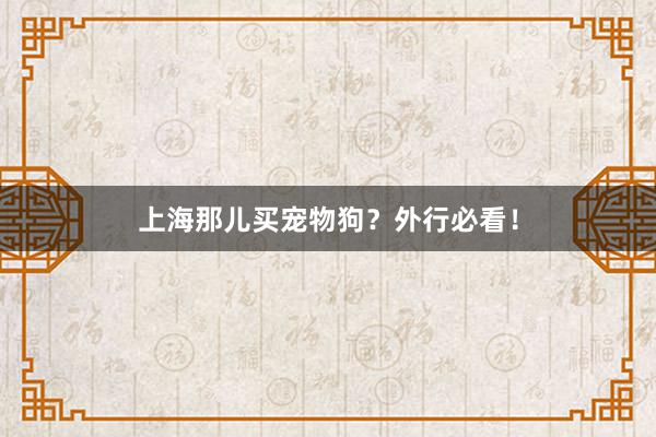 上海那儿买宠物狗？外行必看！