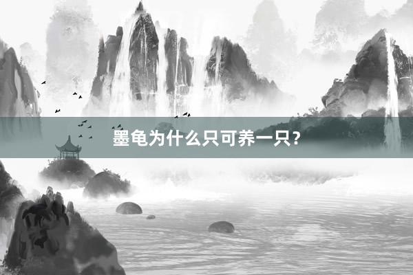 墨龟为什么只可养一只？